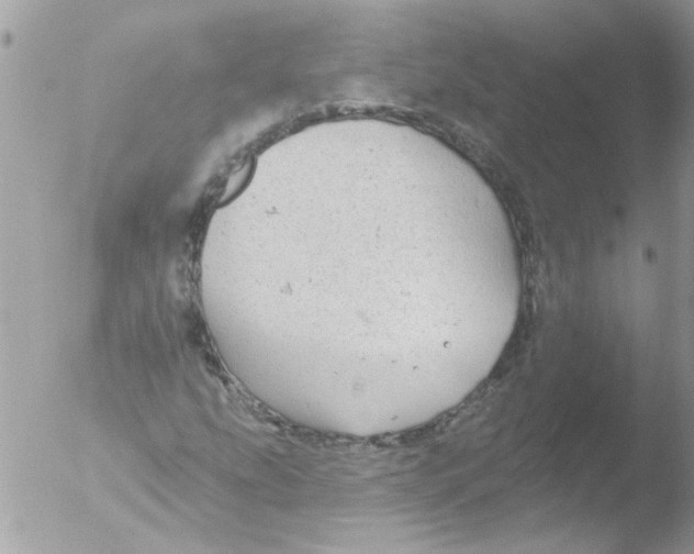 X0000051261207200507152207