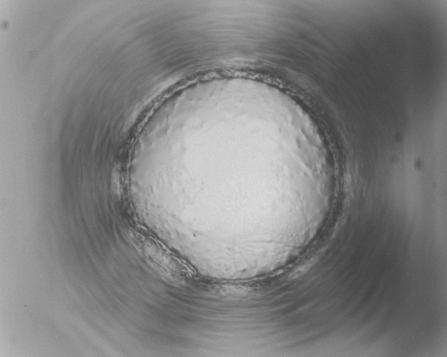 X0000051261209200507152207