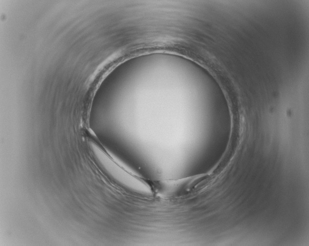 X0000051261210200507152207