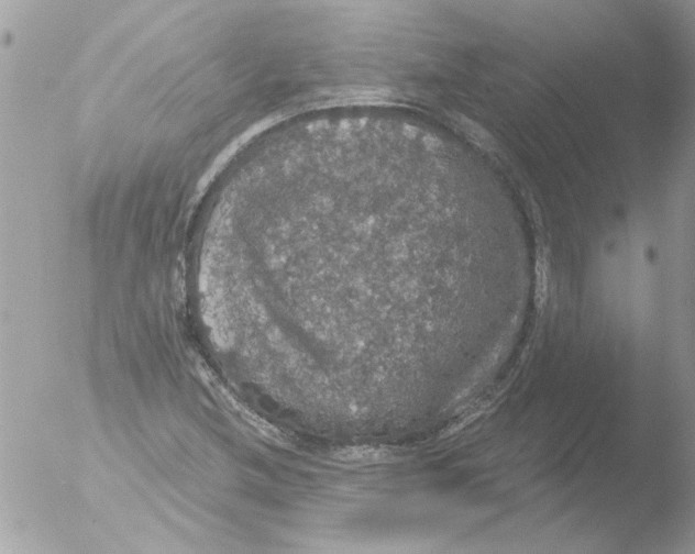 X0000051261212200507152207