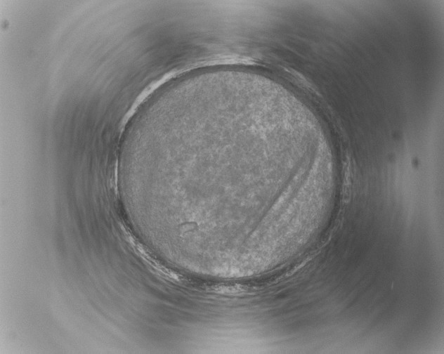 X0000051261220200507152207