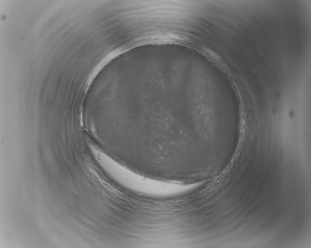 X0000051261226200507152207