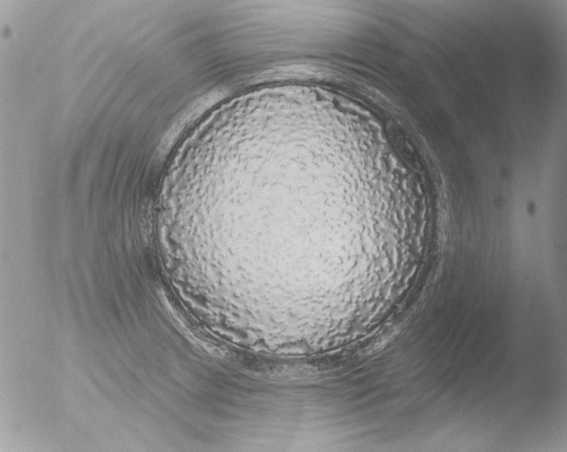 X0000051261233200507152207