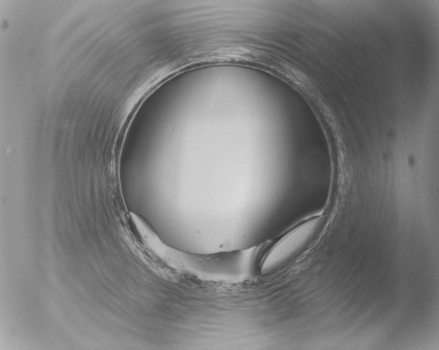 X0000051261234200507152207