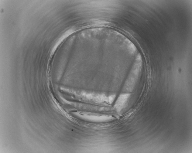 X0000051261235200507152207