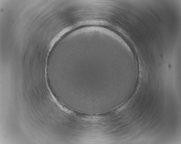 X0000051261237200507152207