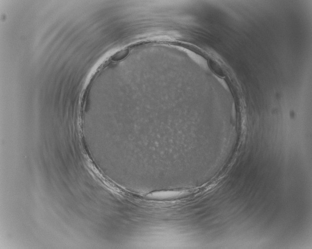 X0000051261240200507152207