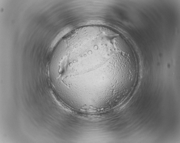 X0000051261241200507152207