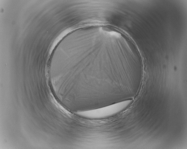 X0000051261243200507152207