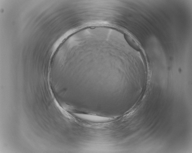 X0000051261245200507152207