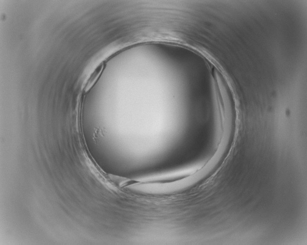 X0000051261246200507152207