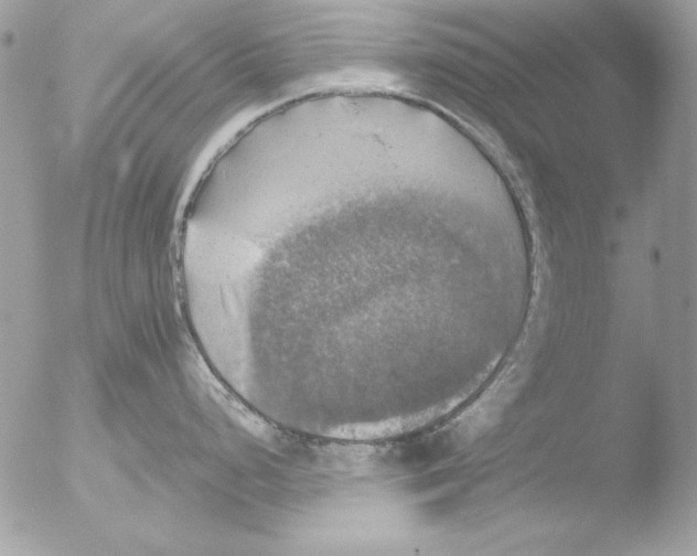 X0000051261248200507152207