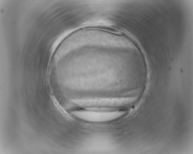 X0000051261344200507152206