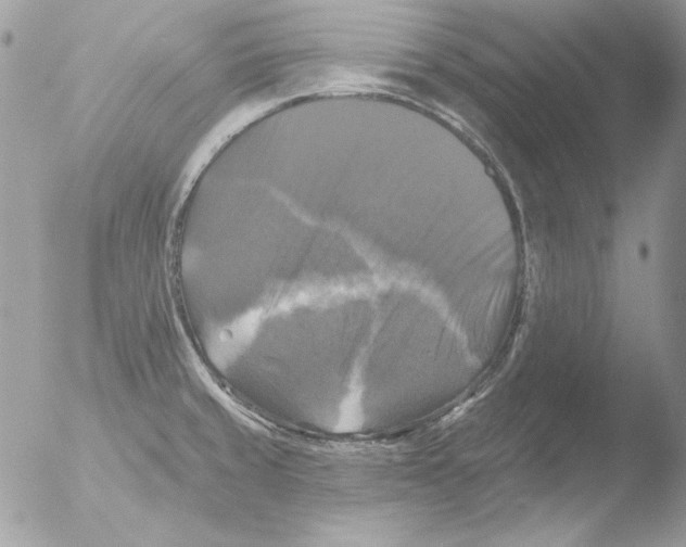 X0000051261429200507152204