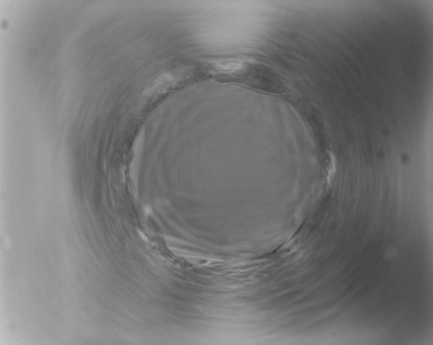 X0000051261441200507152203