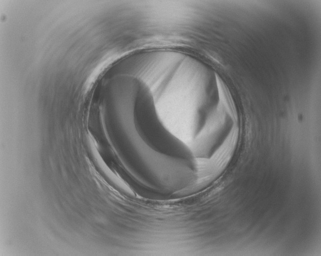 X0000051261459200507152203
