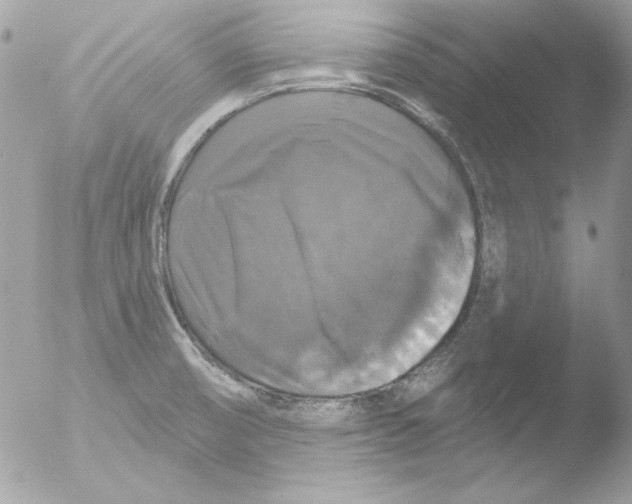 X0000051261474200507152203