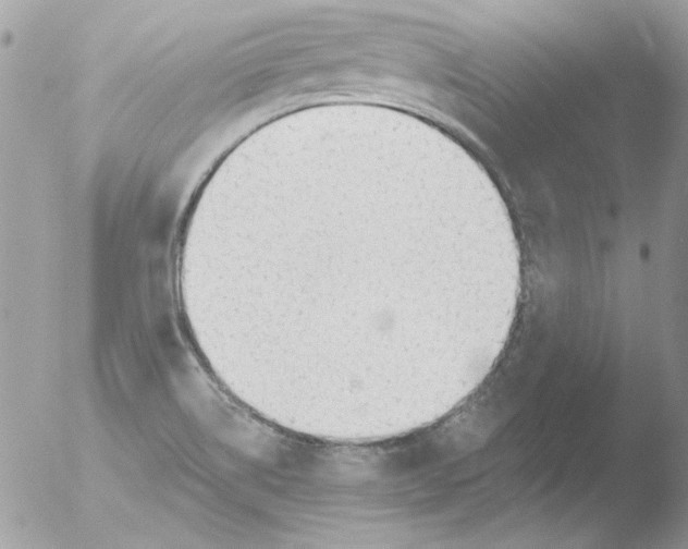 X0000051261514200507152202