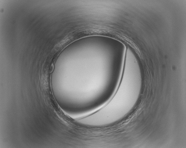 X0000051270489200506170845