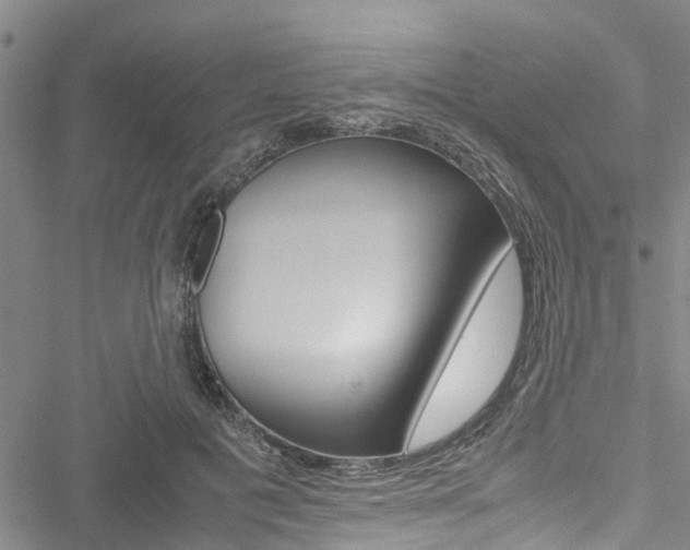 X0000051270601200506170843