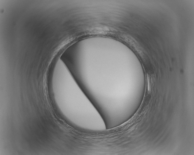 X0000051270675200506170842