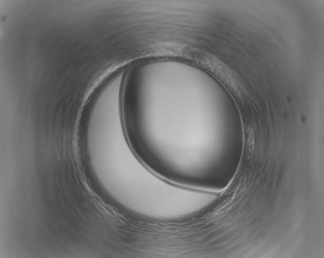X0000051270676200506170842