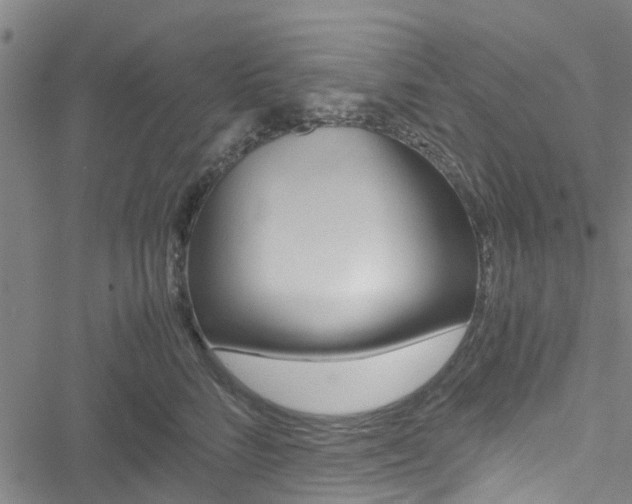 X0000051270712200506170841