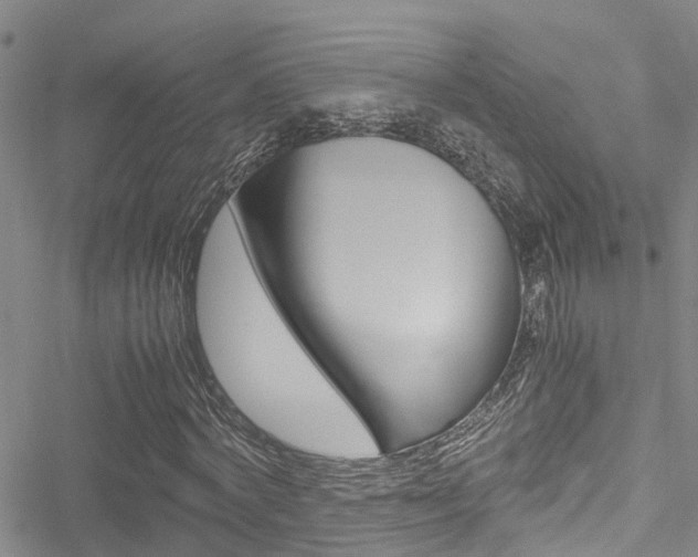 X0000051270772200506170840