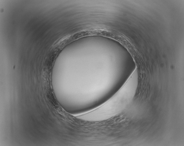 X0000051270773200506170840