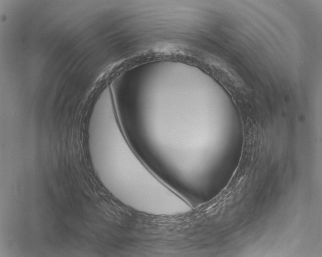 X0000051270776200506170840
