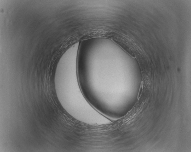 X0000051270818200506170839