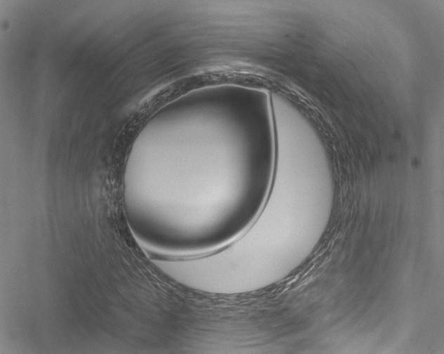 X0000051270822200506170839