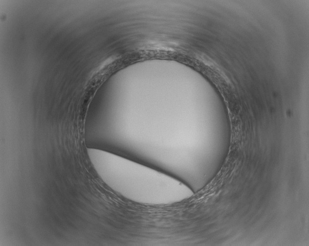 X0000051270870200506170839