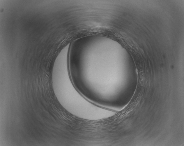 X0000051270916200506170837