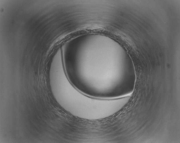 X0000051270920200506170837