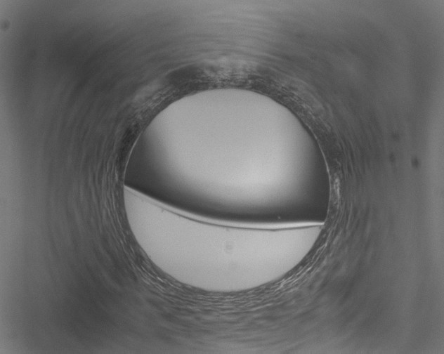 X0000051270963200506170837