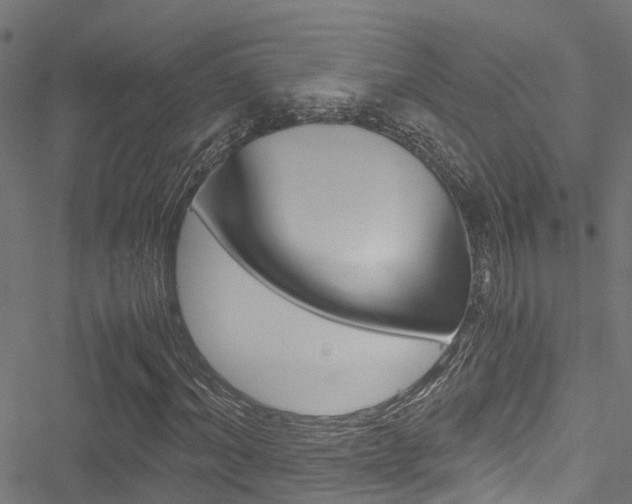 X0000051270964200506170837