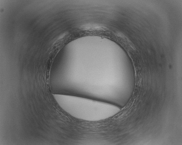 X0000051270966200506170837