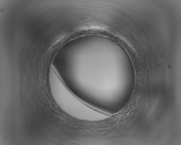 X0000051270967200506170837