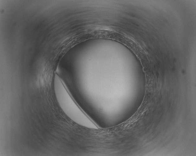 X0000051271013200506170836