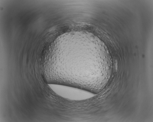 X0000051271059200506170836