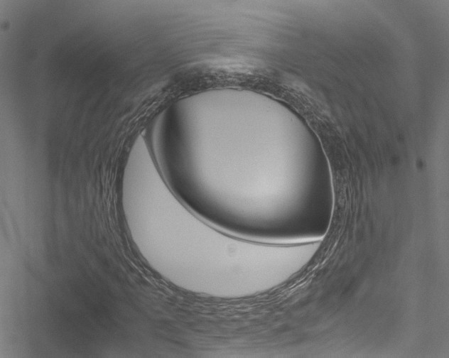 X0000051271061200506170836