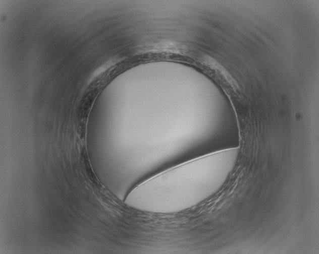 X0000051271064200506170836
