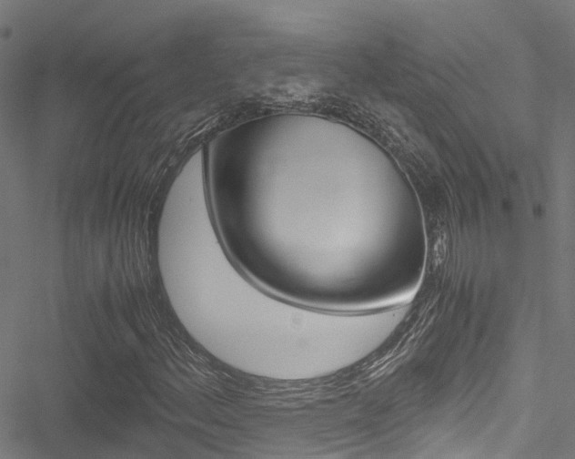 X0000051271156200506170834