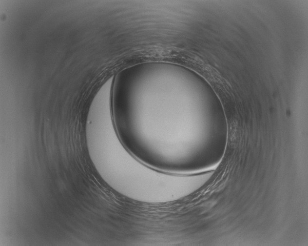 X0000051271202200506170833