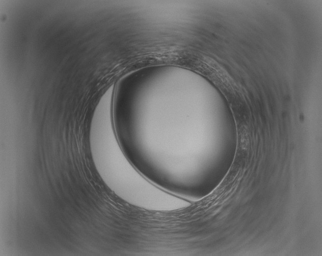 X0000051271298200506170831