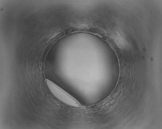 X0000051271301200506170831