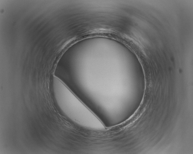 X0000051271313200506170831