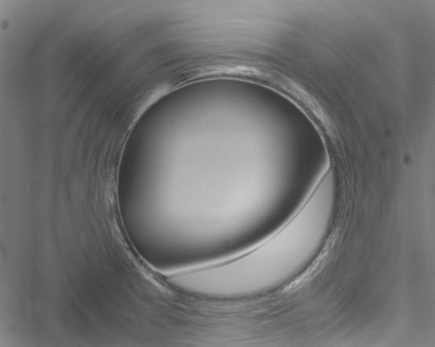 X0000051271377200506170830