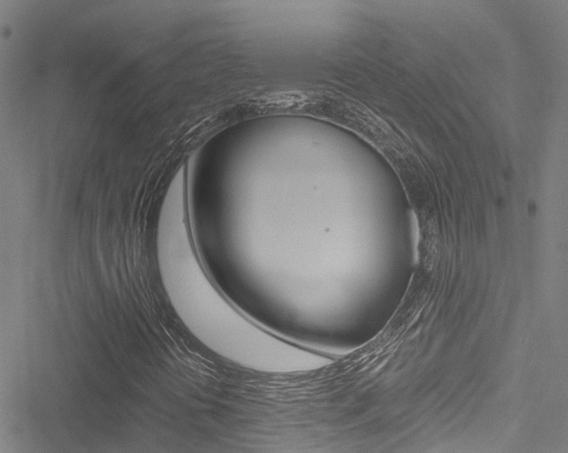 X0000051271394200506170829